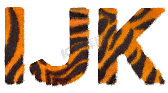 tiger摄影照片_Tiger fall I J 和 K 字母被隔离