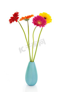 彩色花瓶中的四朵格柏花