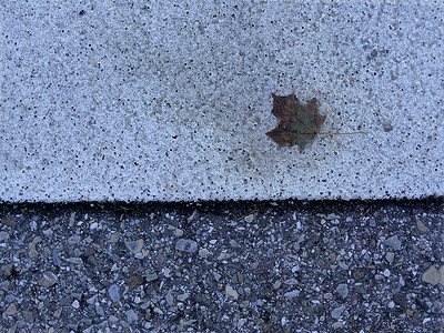 彩色枫叶摄影照片_蓝色街道地板上的秋季彩色枫叶