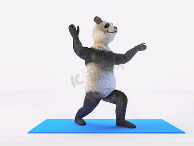 猫伸展瑜伽摄影照片_人物人物动物熊熊猫瑜伽伸展运动不同的姿势和体式