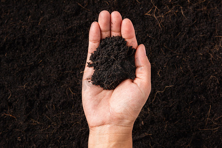 土壤肥沃摄影照片_女人手拿着堆肥肥沃的黑土背景