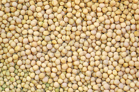 成熟黄豆摄影照片_作为背景的成熟大豆