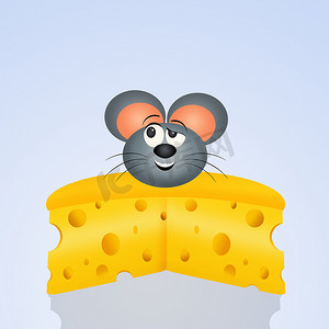 奶酪上的老鼠