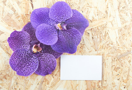 木质背景上的紫色万达兰花，空白纸空间供文本