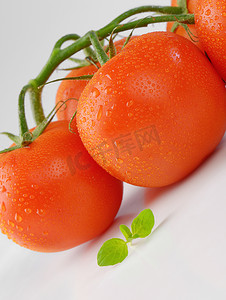 一堆新鲜的西红柿