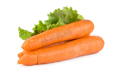 胡萝卜和生菜
