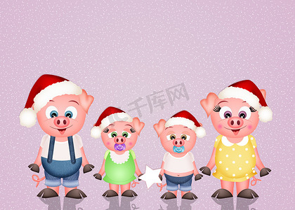 圣诞节的猪