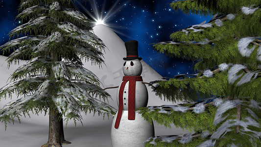 学习之星海报摄影照片_圣诞夜之星与雪人和冷杉树