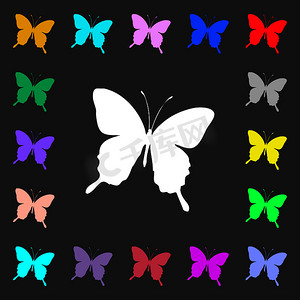 蝴蝶 iconi 标志。