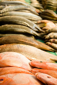 海鲜鱼肉摄影照片_一堆鱼肉