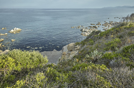 撒丁岛南部植被下的岩石。