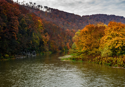 秋天山的森林河