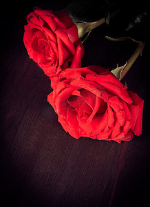 老木头上的两朵玫瑰、老式、背景、情人节和爱情概念