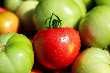 蔬菜落摄影照片_红色和绿色西红柿的特写镜头