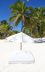 遮阳伞海滩热带伞床垫棕榈树