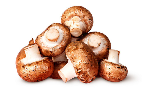 一堆新鲜的棕色香菇