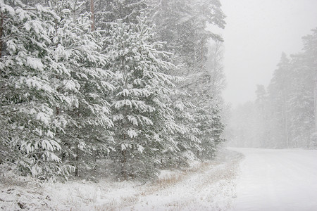 下雪路摄影照片_美丽的冬季景观与冬季森林中的雪路。