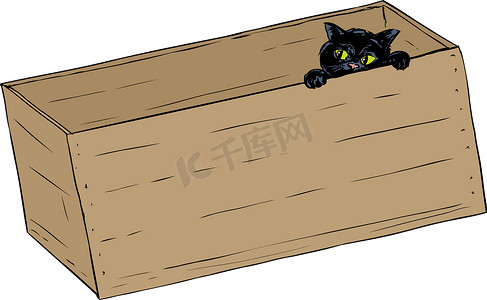 从盒子里偷看的黑猫
