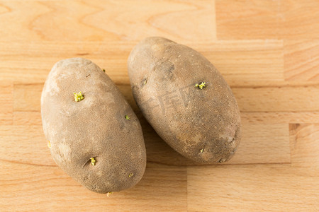 发芽的种薯