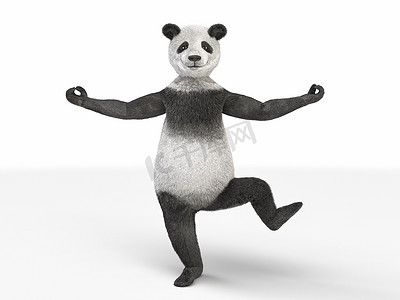 人物角色动物熊熊猫站立一条腿孤立的白色
