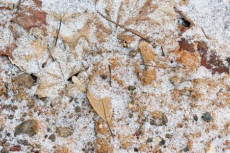 白色土壤摄影照片_有雪的冻土