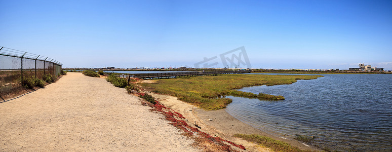 沿着 Bolsa Chica wetlan 宁静祥和的沼泽小径