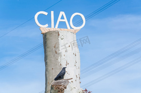 Ciao 写在木头上。