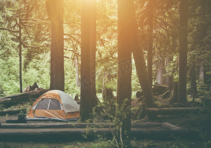 森林中的帐篷露营