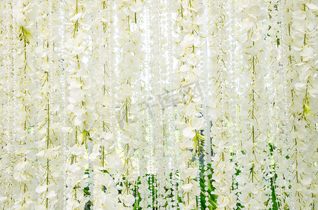 婚礼白花的背景