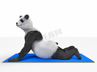 人物人物动物熊熊猫瑜伽伸展运动不同的姿势和体式