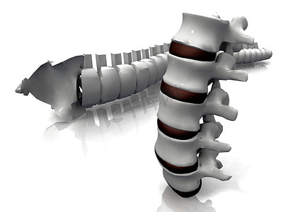 腰椎手术摄影照片_脊柱和椎骨