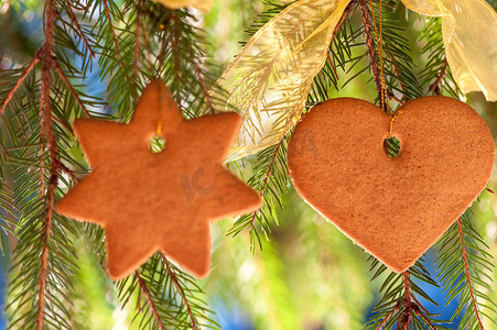 姜心饼干和星星悬挂在冷杉的树枝上