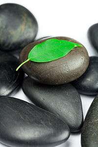带绿叶和一滴水的黑色温泉石