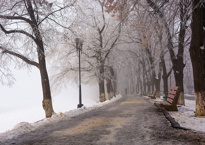 冬季最长的欧洲菩提树胡同