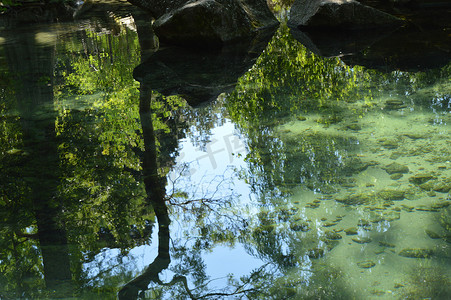 水波纹绿色摄影照片_抽象的树木、天空、石头倒映在水面的波纹中，透过清澈的水可以看到池底