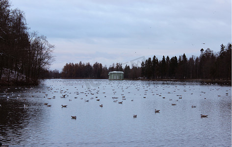 Gatchina 公园的白湖、维纳斯亭和群栖地。