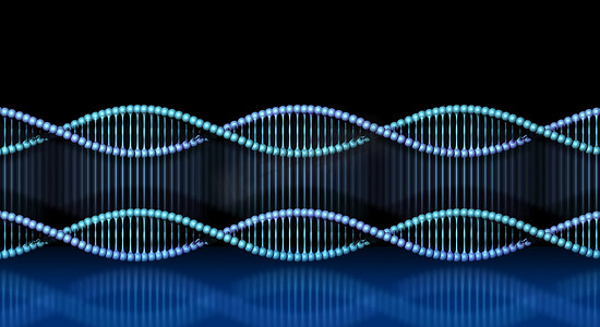 DNA螺旋克隆