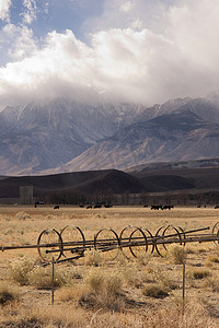 欧文山谷 Sierra Neveda Mountains 牲畜牧场