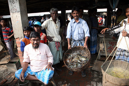 孟加拉人摄影照片_西孟加拉邦 Kumrokhali 的鱼市