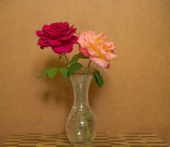 棕色海报摄影照片_垃圾背景花瓶中的两朵玫瑰