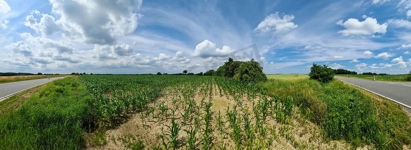 北欧乡村风景的美丽高分辨率全景，田野和绿草