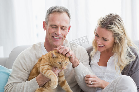 微笑的夫妇在沙发上抚摸他们的 gringer 猫