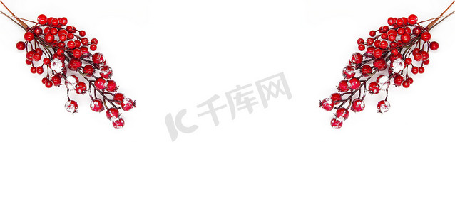 雪冬青摄影照片_喜庆的新年或圣诞节背景，雪中有红冬青浆果