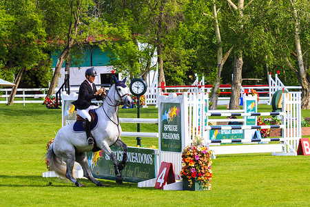 Spruce Meadows 国际马术比赛，