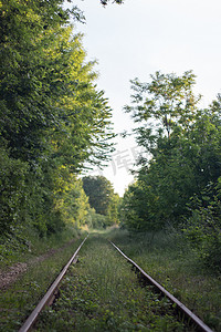 火车自然景观摄影照片_有自然和树的火车站。