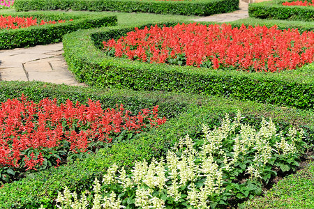 红色正式摄影照片_英国正式花园中的修剪