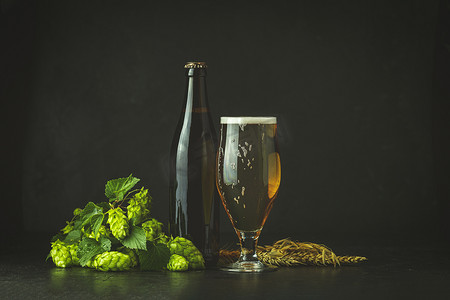 复古风茶杯摄影照片_静物与复古风格的啤酒和啤酒花植物。