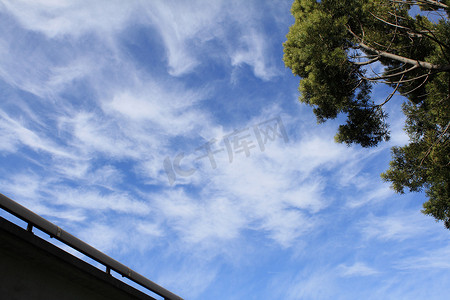 天空和树枝摄影照片_多云的天空和树