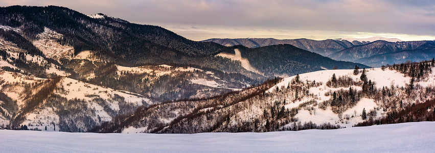 冬季全景白雪皑皑的森林山丘