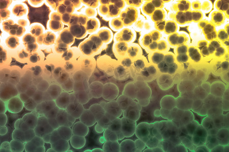 过敏原摄影照片_菌体形态：球菌、杆菌、螺旋菌